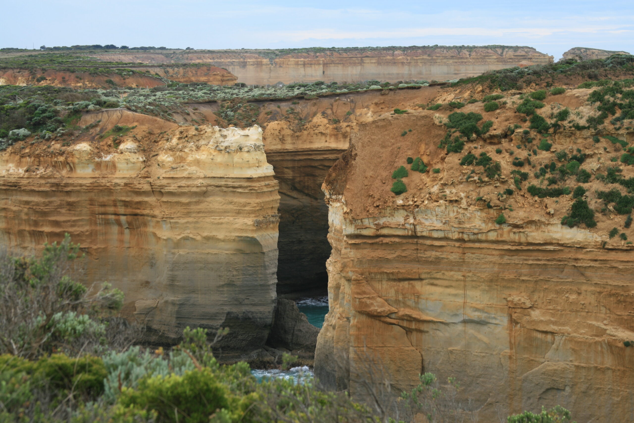 O mechanizmach obronnych